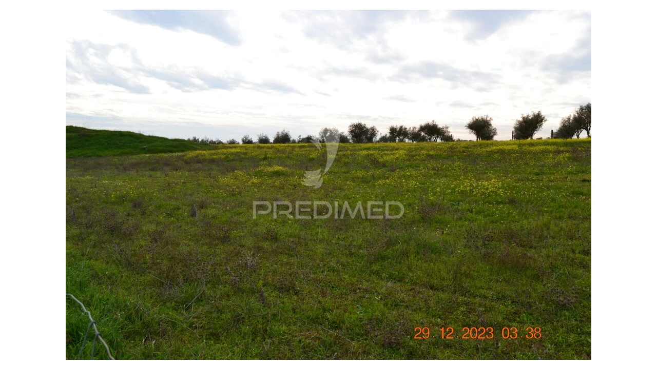 Terreno para Venda em Ciladas Foto 14