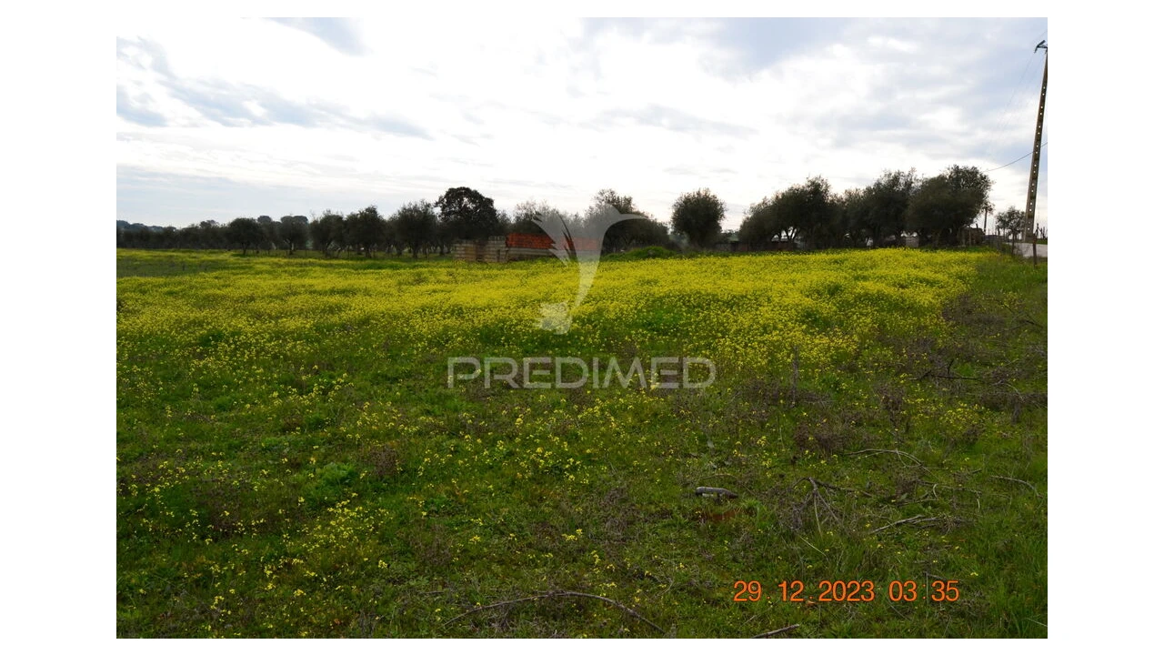 Terreno para Venda em Ciladas Foto 16