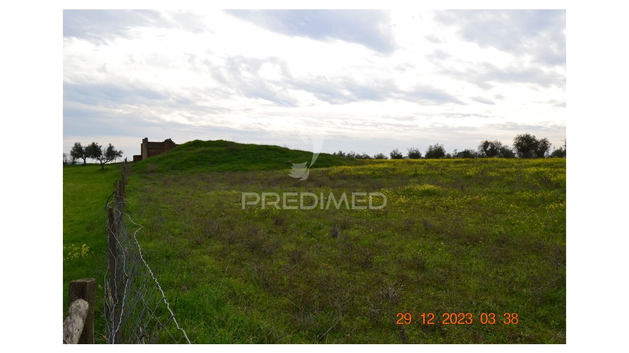 Terreno para Venda em Ciladas Foto 13