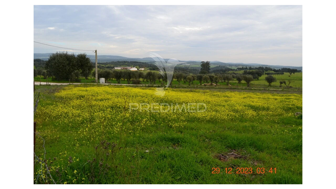Terreno para Venda em Ciladas Foto 11
