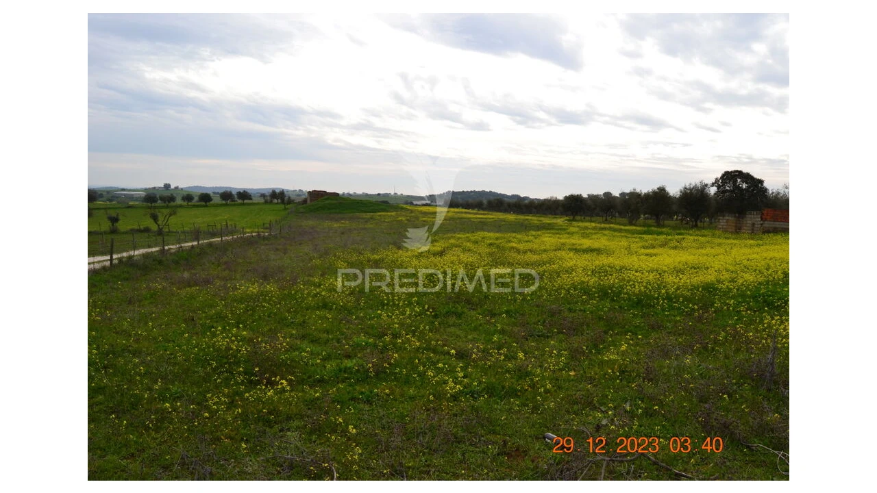 Terreno para Venda em Ciladas Foto 18