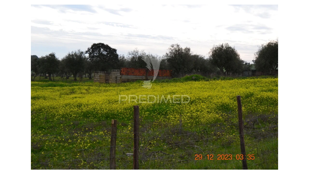 Terreno para Venda em Ciladas Foto 3