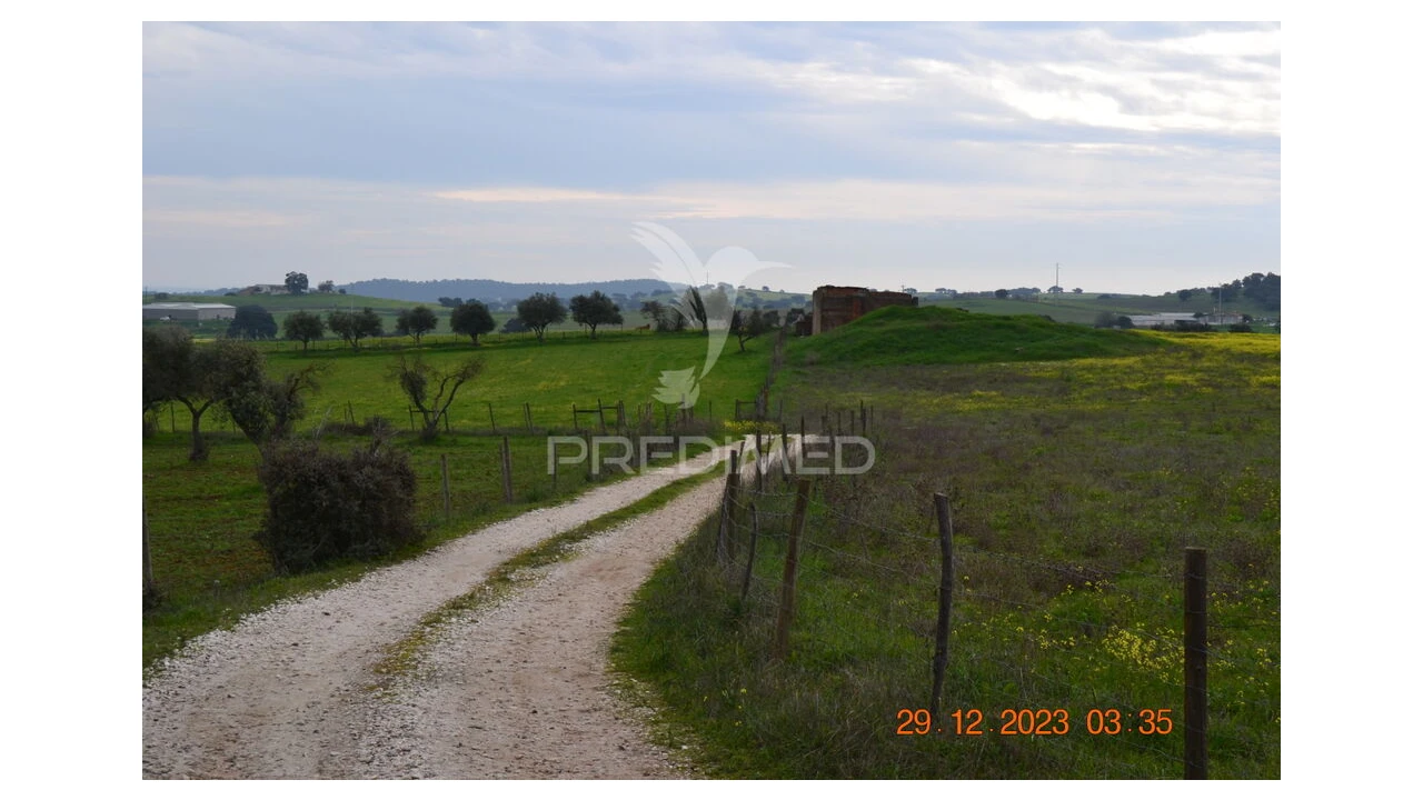 Terreno para Venda em Ciladas Foto 4