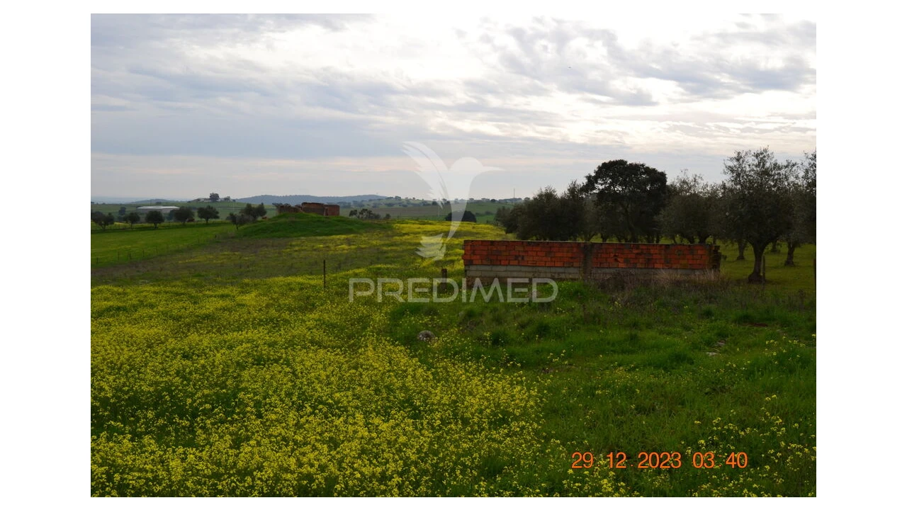 Terreno para Venda em Ciladas Foto 10