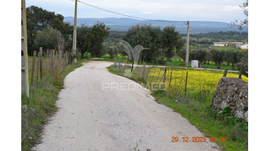 Terreno para Venda em Ciladas