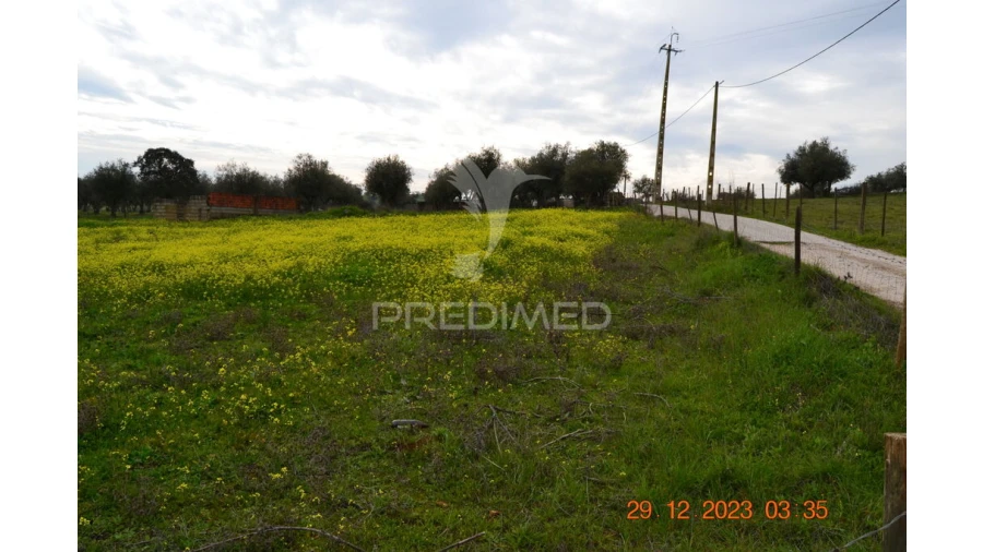 Terreno para Venda em Ciladas Foto 8