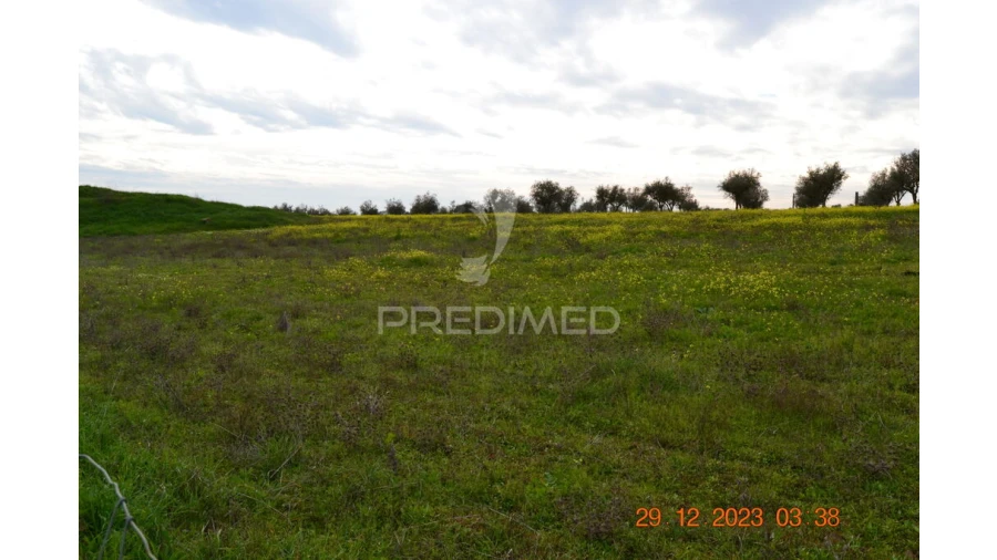 Terreno para Venda em Ciladas Foto 14