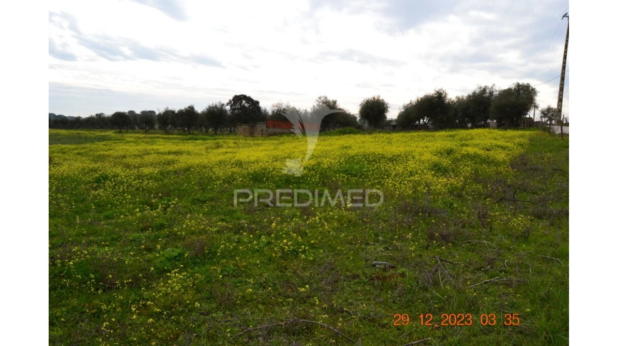 Terreno para Venda em Ciladas Foto 16