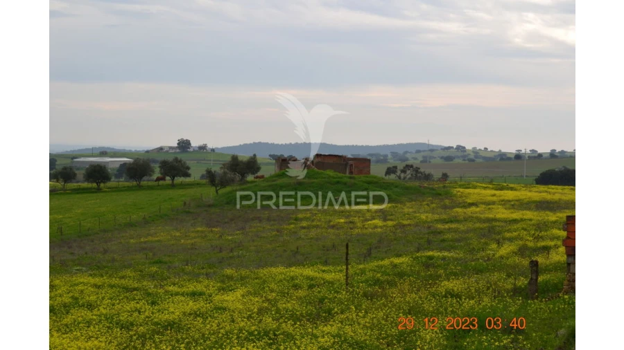 Terreno para Venda em Ciladas Foto 9