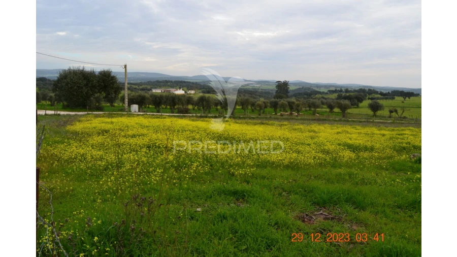 Terreno para Venda em Ciladas Foto 11
