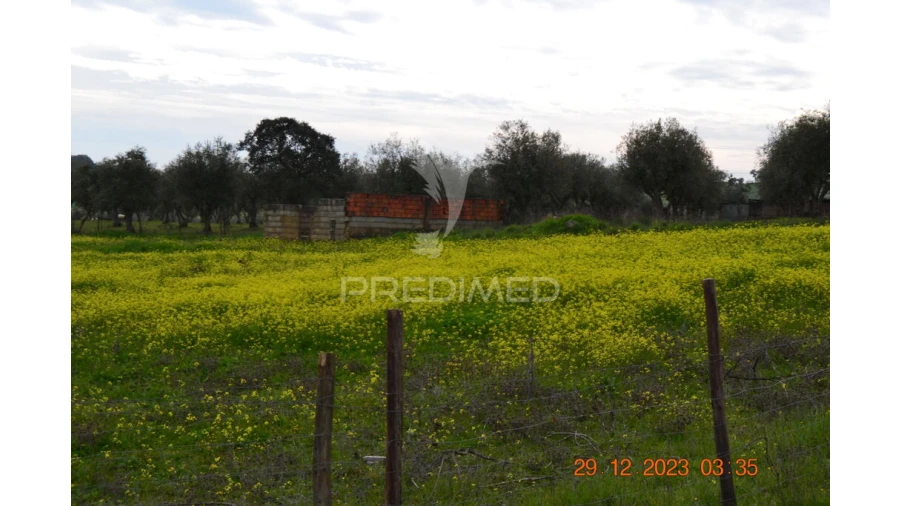 Terreno para Venda em Ciladas Foto 3