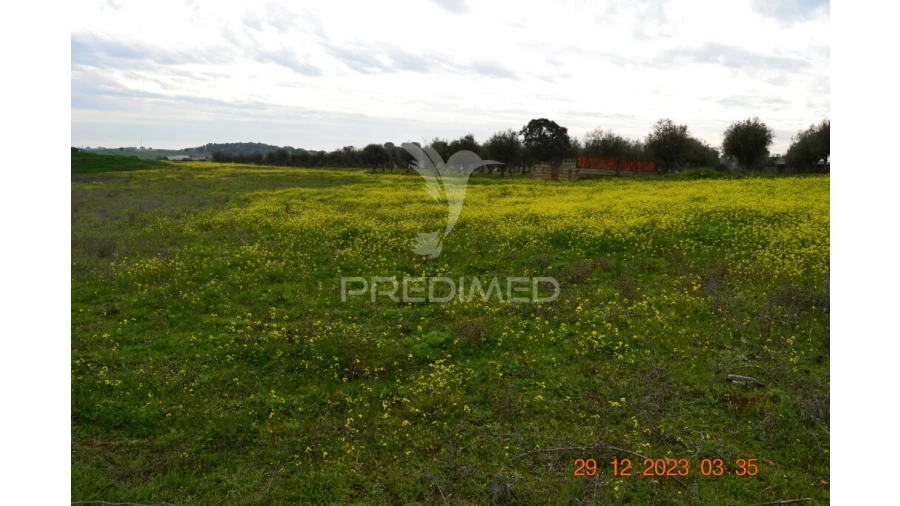 Terreno para Venda em Ciladas Foto 6