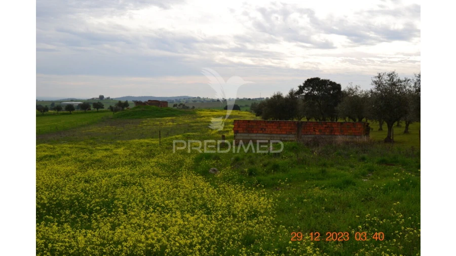 Terreno para Venda em Ciladas Foto 10