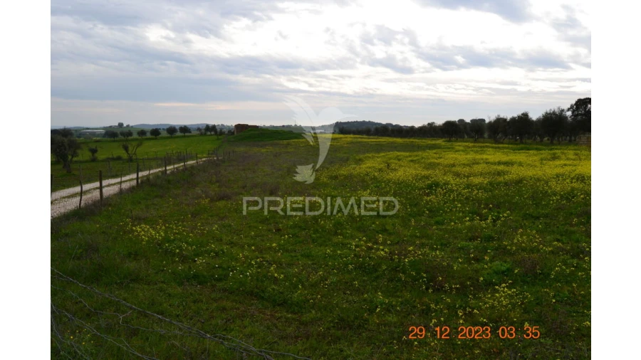 Terreno para Venda em Ciladas Foto 5