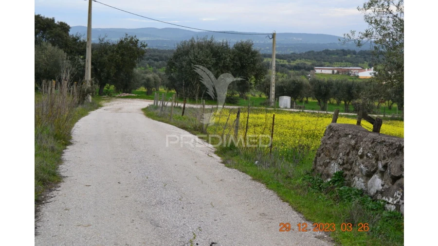 Terreno para Venda em Ciladas Foto 2