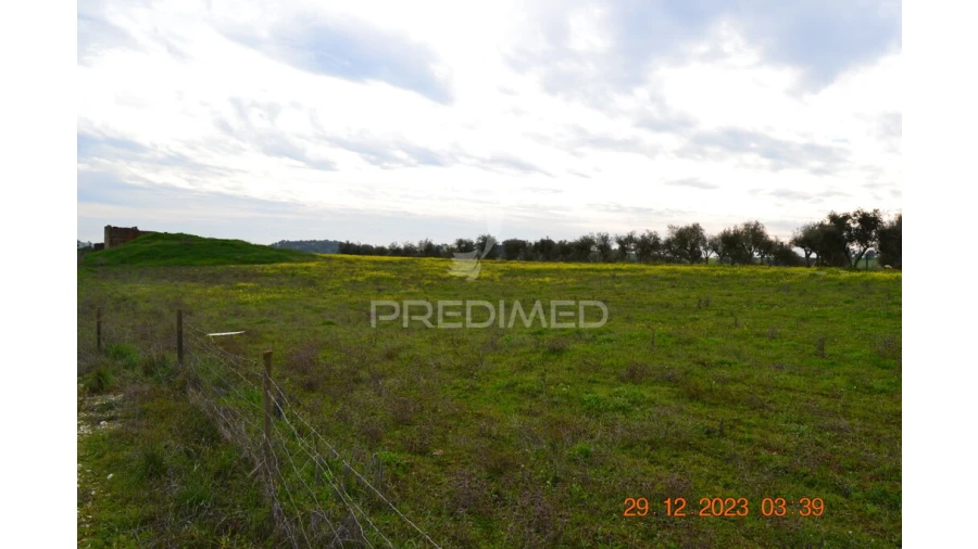 Terreno para Venda em Ciladas Foto 17