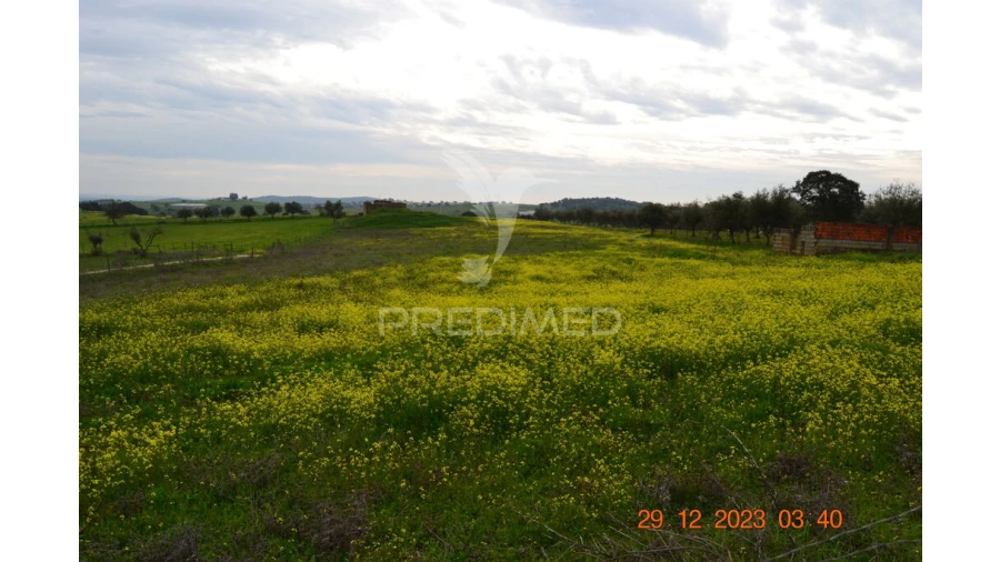 Terreno para Venda em Ciladas Foto 19