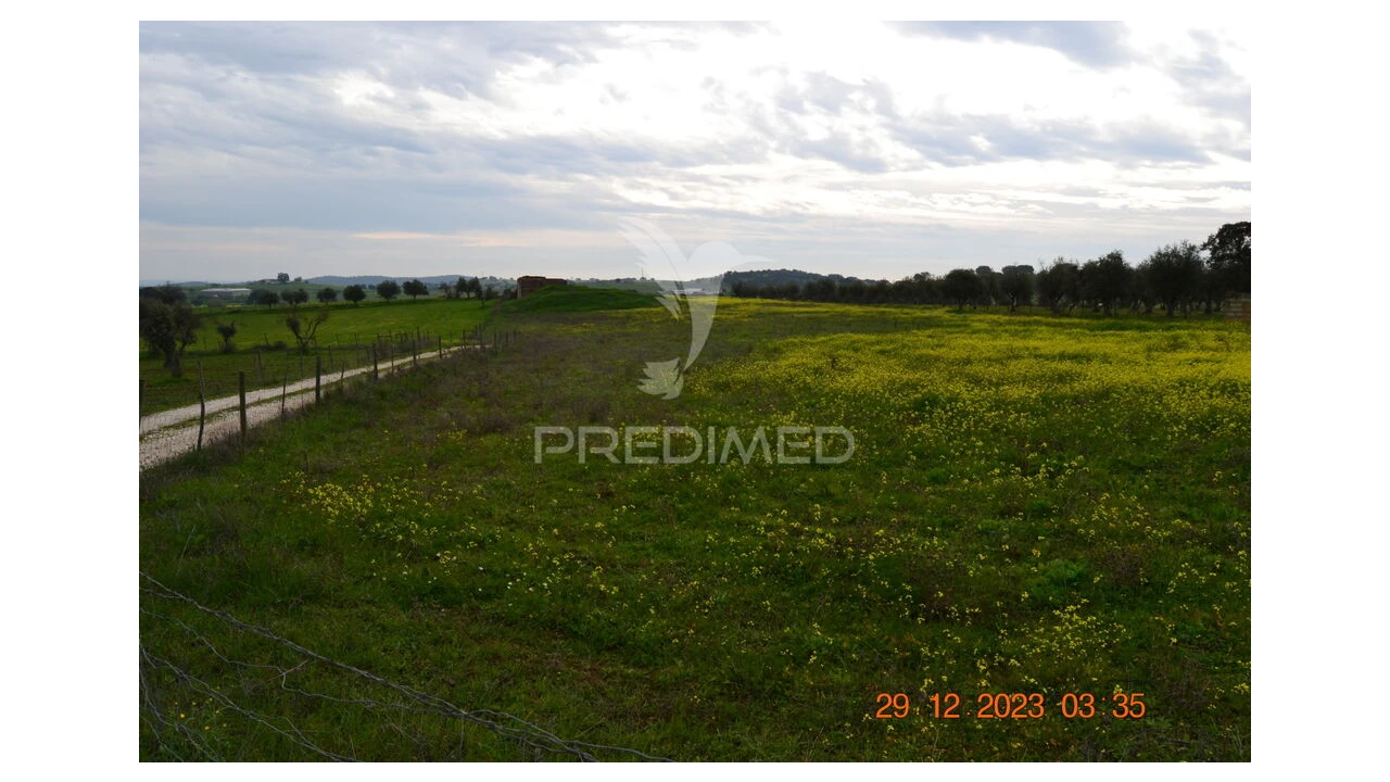 Terreno para Venda em Ciladas Foto 5