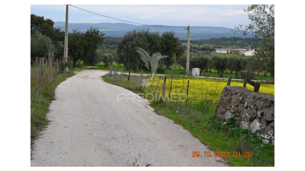 Terreno para Venda em Ciladas Foto 2