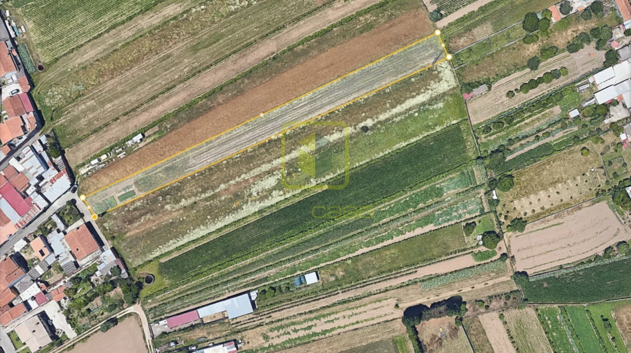 Terreno Agricola ou Rústico para Venda em Esgueira Foto 4