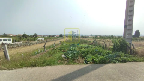 Terreno Agricola ou Rústico para Venda em Esgueira