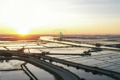 Terreno Agricola ou Rústico para Venda em Esgueira