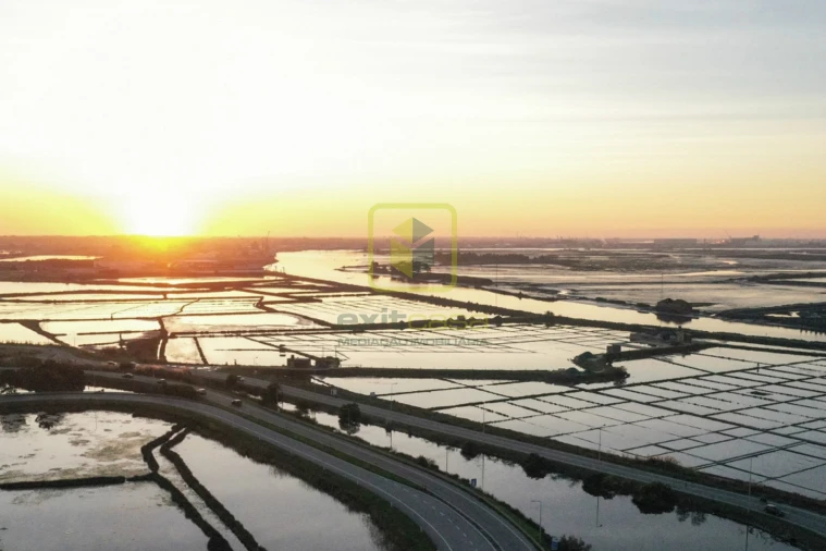 Terreno Agricola ou Rústico para Venda em Esgueira Foto 5