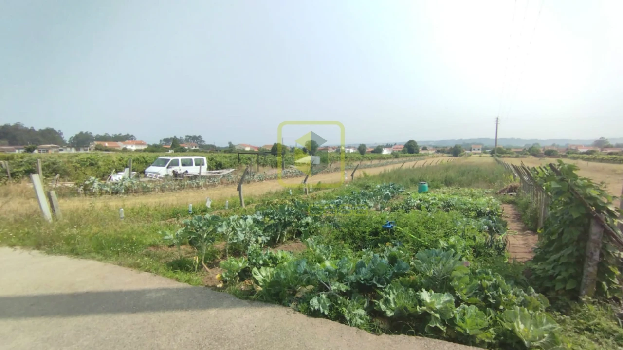 Terreno Agricola ou Rústico para Venda em Esgueira Foto 1