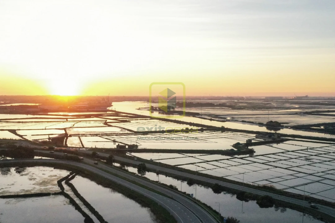 Terreno Agricola ou Rústico para Venda em Esgueira Foto 5
