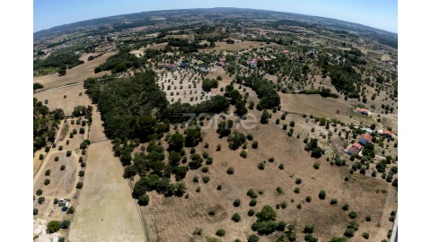 Terreno para Venda em São João Baptista e Santa Maria dos Olivais