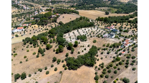 Terreno para Venda em São João Baptista e Santa Maria dos Olivais