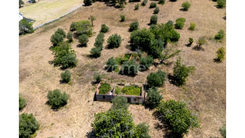 Terreno para Venda em São João Baptista e Santa Maria dos Olivais