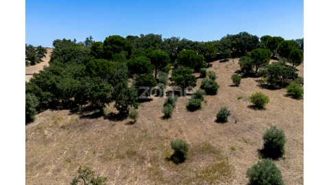 Terreno para Venda em São João Baptista e Santa Maria dos Olivais