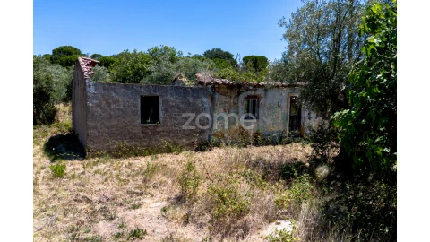 Terreno para Venda em São João Baptista e Santa Maria dos Olivais