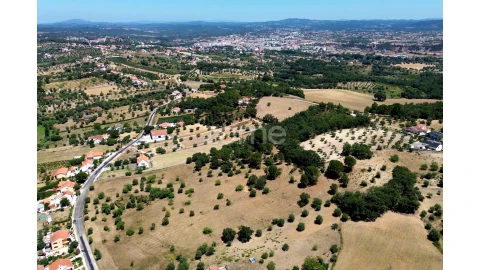 Terreno para Venda em São João Baptista e Santa Maria dos Olivais