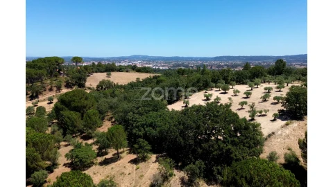 Terreno para Venda em São João Baptista e Santa Maria dos Olivais