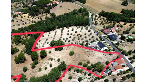 Terreno para Venda em São João Baptista e Santa Maria dos Olivais