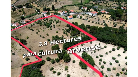 Terreno para Venda em São João Baptista e Santa Maria dos Olivais