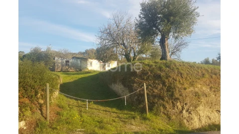 Terreno para Venda em São João Baptista e Santa Maria dos Olivais