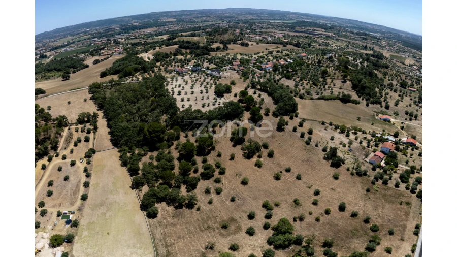 Terreno para Venda em São João Baptista e Santa Maria dos Olivais Foto 16