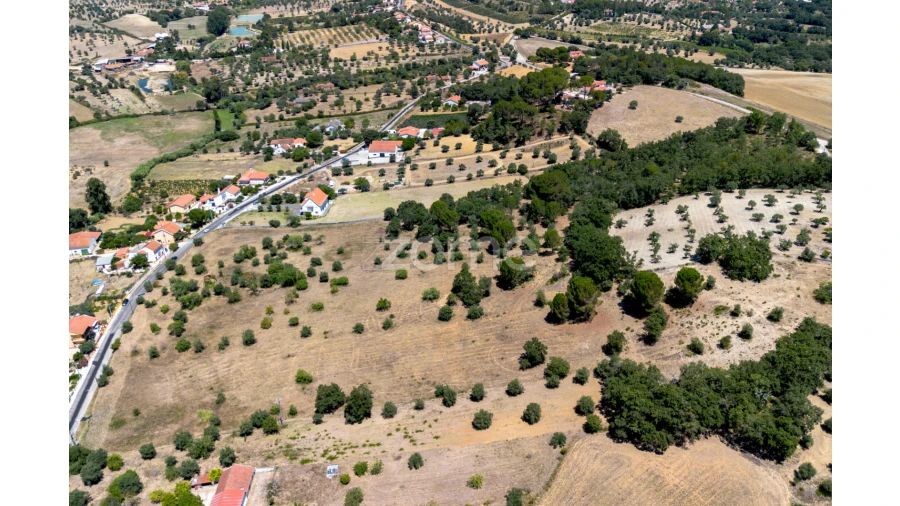 Terreno para Venda em São João Baptista e Santa Maria dos Olivais Foto 19