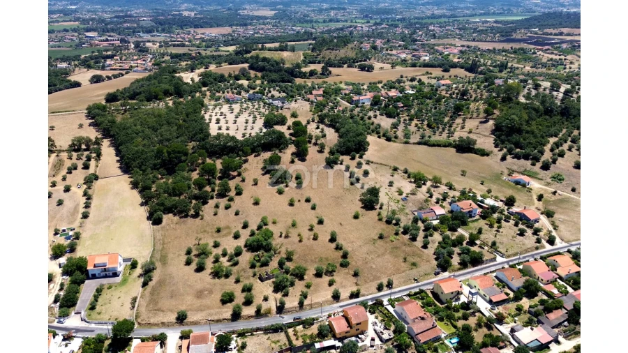 Terreno para Venda em São João Baptista e Santa Maria dos Olivais Foto 3