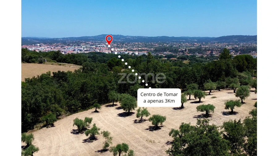 Terreno para Venda em São João Baptista e Santa Maria dos Olivais Foto 13