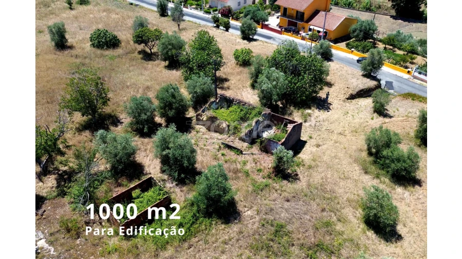 Terreno para Venda em São João Baptista e Santa Maria dos Olivais Foto 12
