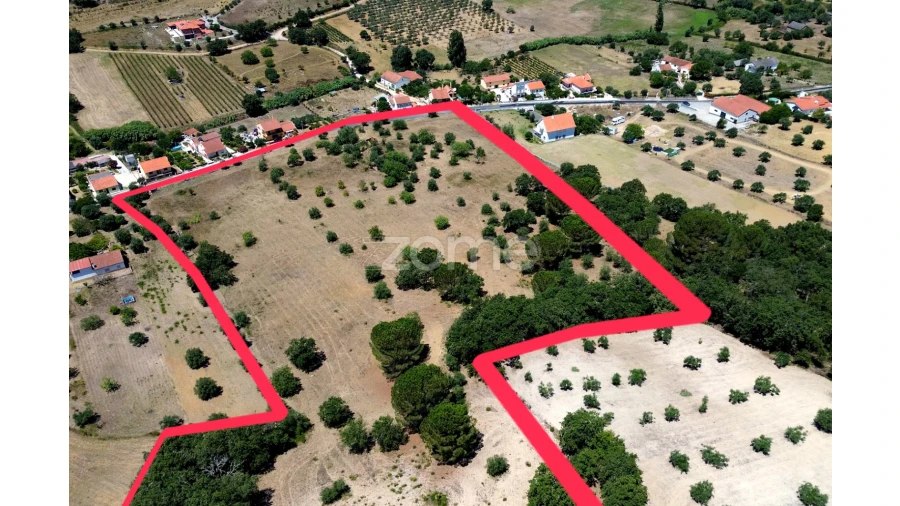 Terreno para Venda em São João Baptista e Santa Maria dos Olivais Foto 18