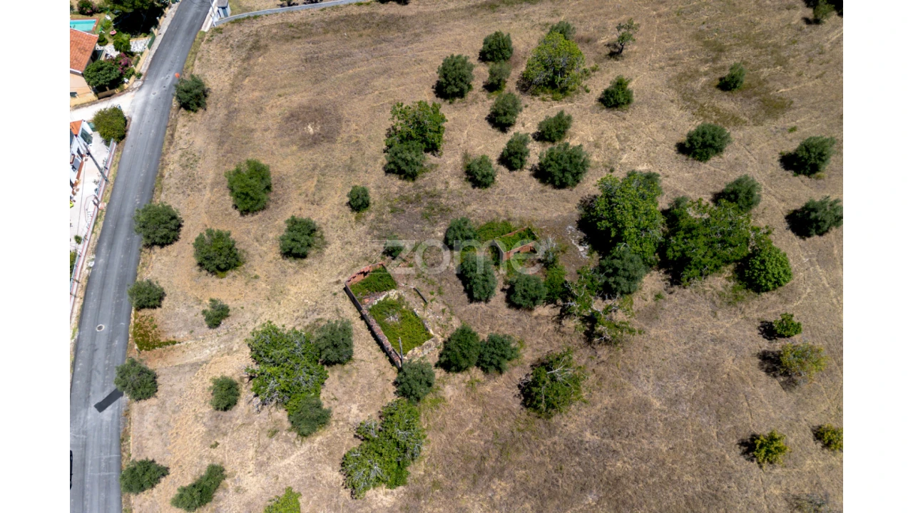 Terreno para Venda em São João Baptista e Santa Maria dos Olivais Foto 6