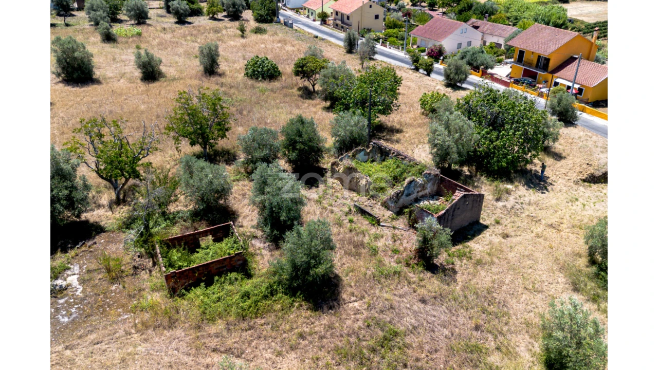 Terreno para Venda em São João Baptista e Santa Maria dos Olivais Foto 9