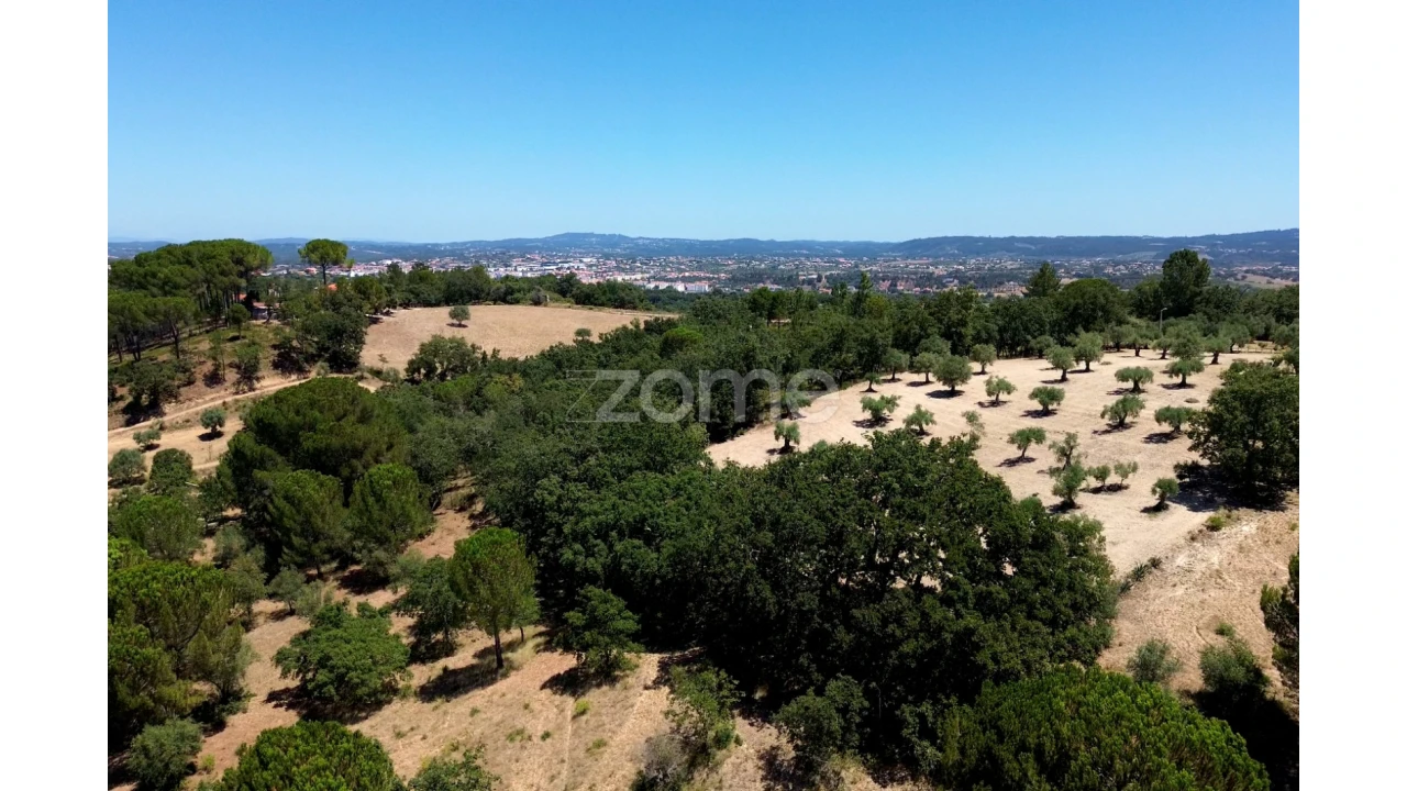 Terreno para Venda em São João Baptista e Santa Maria dos Olivais Foto 14
