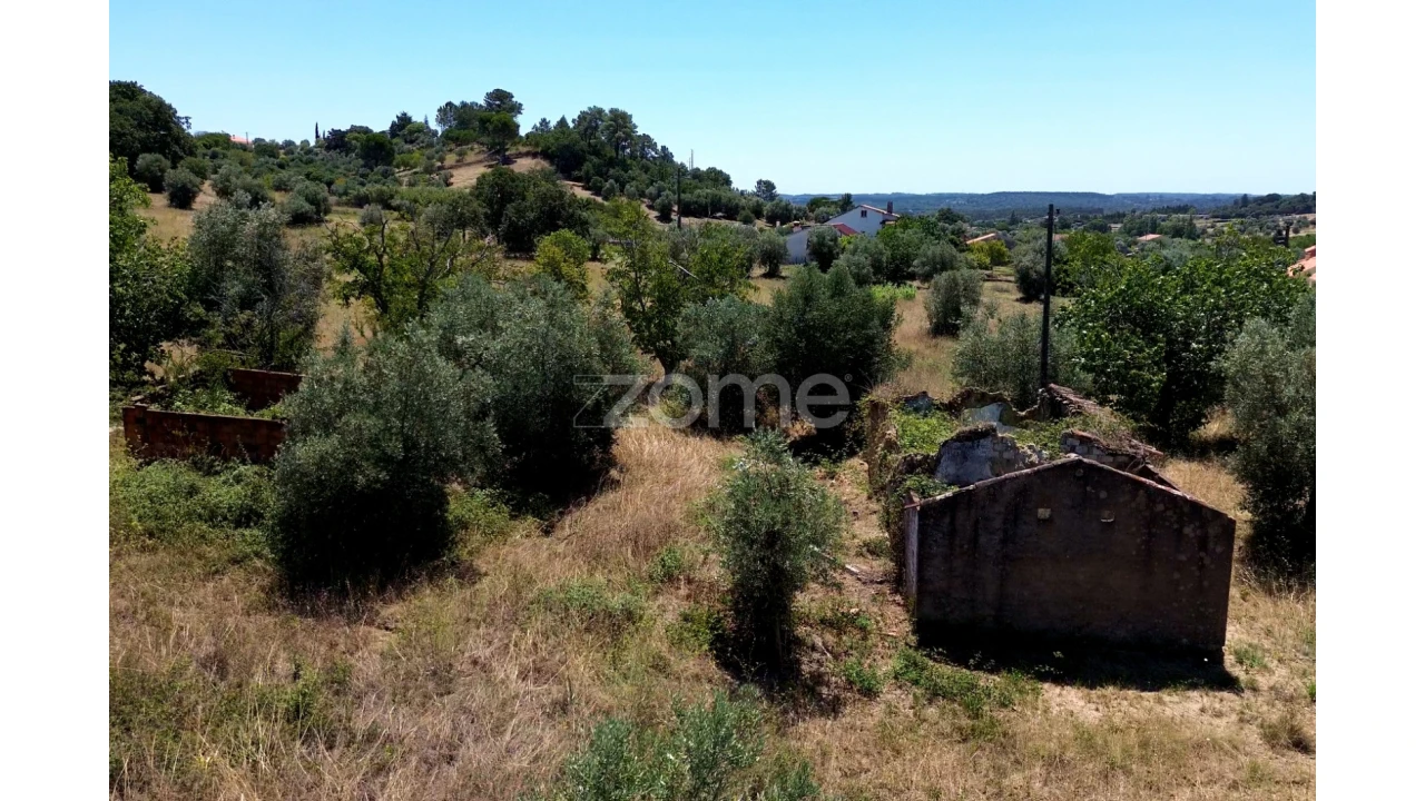 Terreno para Venda em São João Baptista e Santa Maria dos Olivais Foto 10