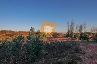 Terreno para Venda em Silves